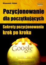 Pozycjonowanie dla początkujących miniaturka