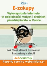Wykorzystanie Internetu w Działalności Małych i Średnich Przedsiębiorstw w Polsce